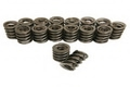 Dual Valve Springs